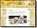 Service de vente de chiots Golden Retrievers et pension pour chiens avec gardiennage et toilettage.
