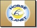 Boutique vente équipement cheval et poney, équipement cavalier